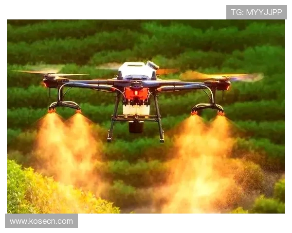 无人机在国土普查中的自动化